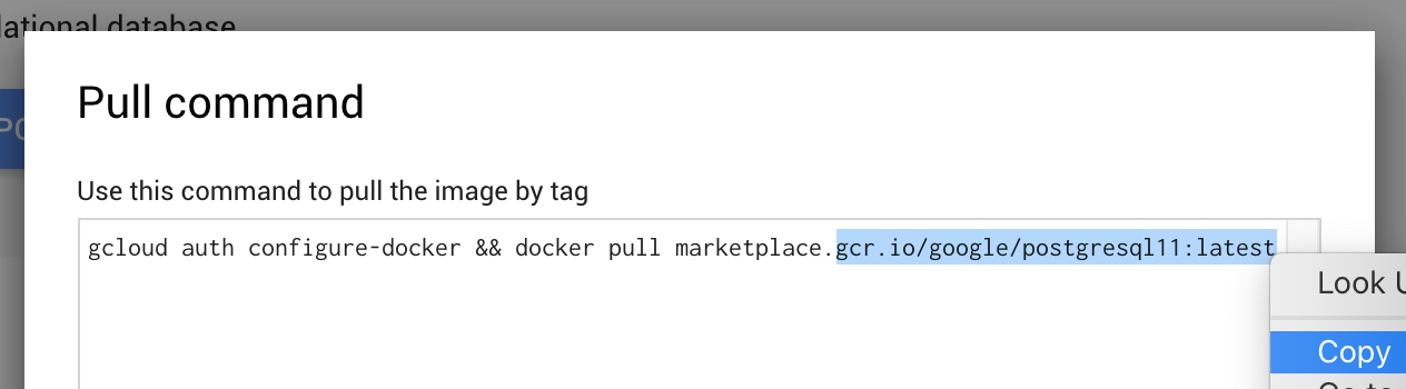 Copy the image url